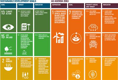 Serengeti’s futures: Exploring land use and land cover change scenarios to craft pathways for meeting conservation and development goals